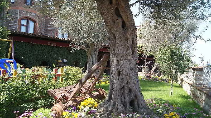 Hotel Iliada Domje